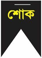 shok-31