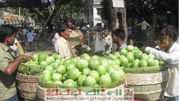 Vegetables Pic-2