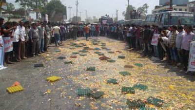 রাস্তায় ডিম ভেঙ্গে টাঙ্গাইলে বিক্ষোভ করছে খামারীরা
