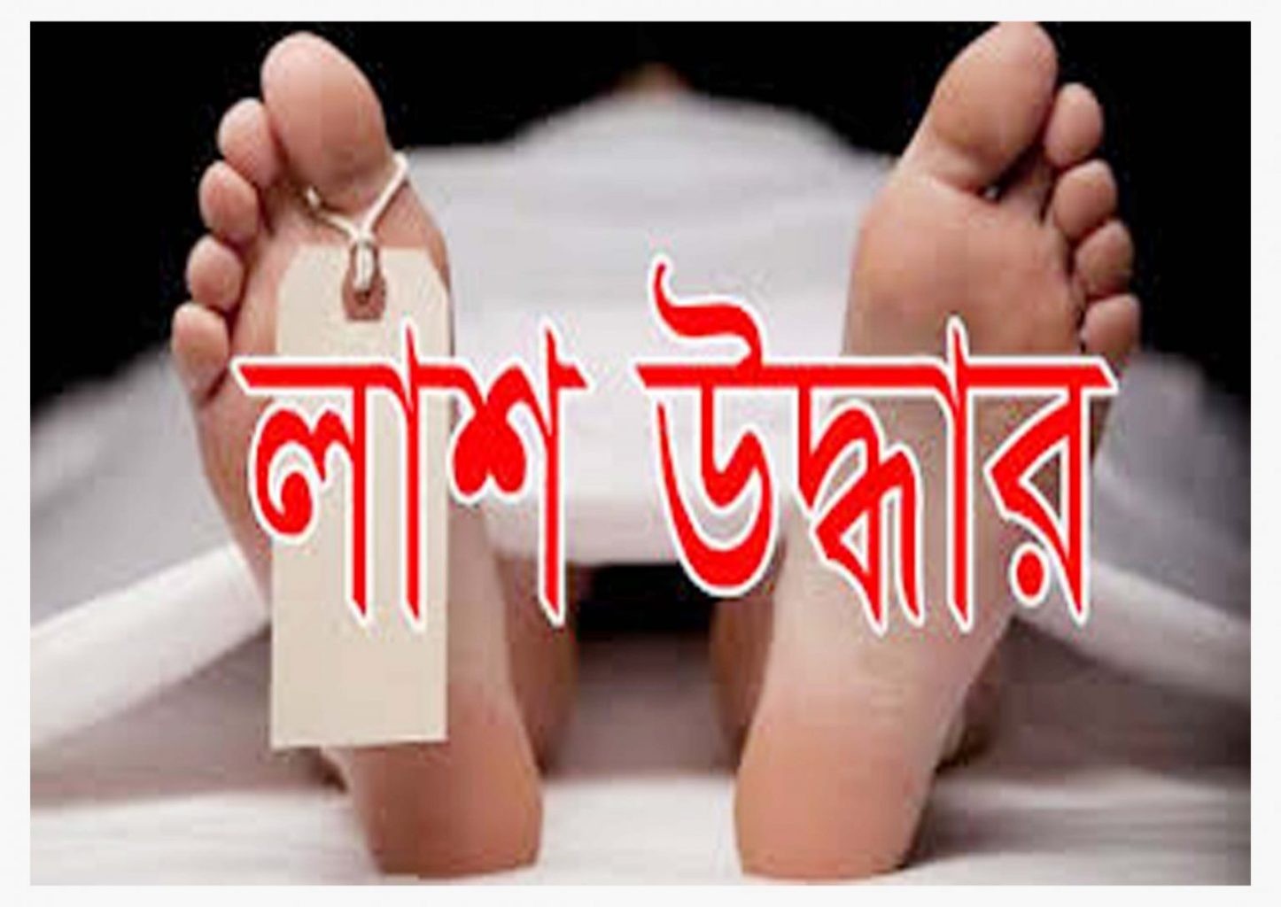 ঝিনাইগাতীতে গৃহবধূর ঝুলন্ত লাশ উদ্ধার