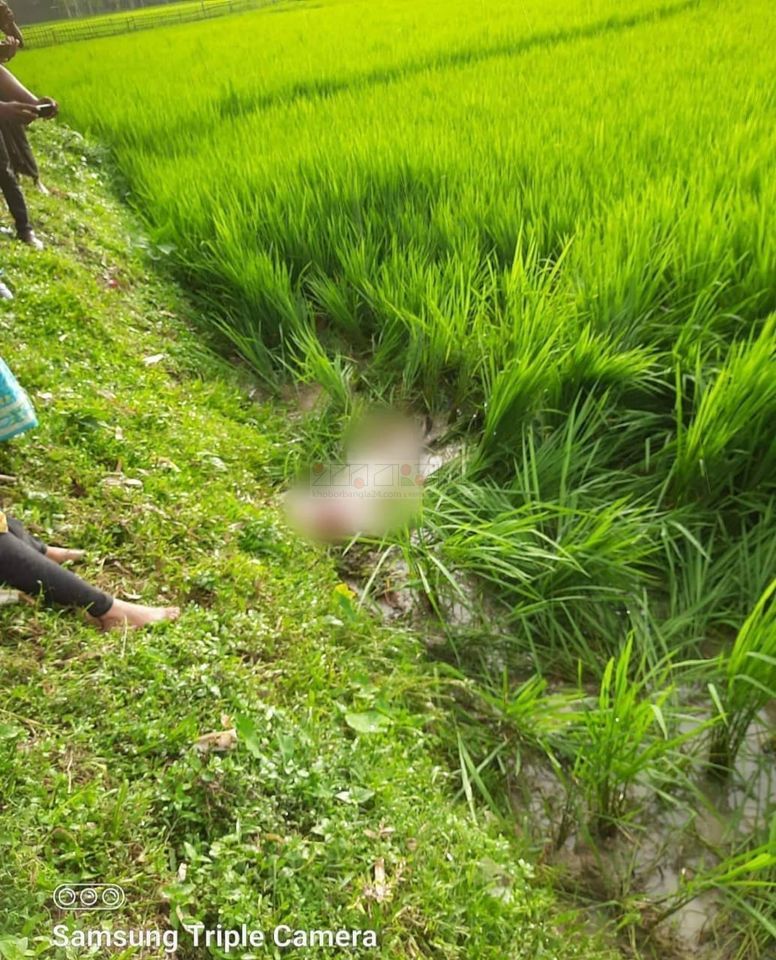 ঝিনাইগাতীতে জমি সংক্রান্ত বিরোধের জের ধরে  প্রতিপক্ষের হামলায় কৃষক নিহত