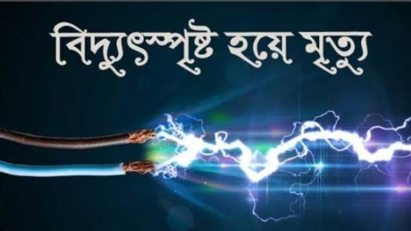 শ্রীবরদীতে বিদ্যুৎস্পৃষ্টে ইলেকট্রিক মিস্ত্রির মৃত্যু