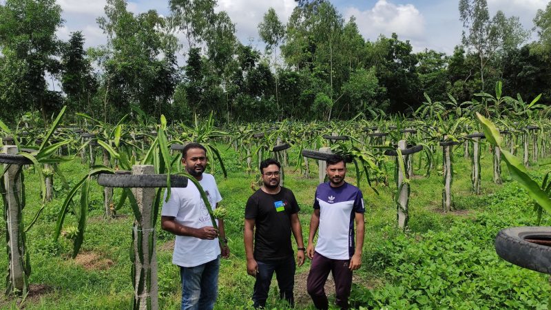 শ্রীবরদীতে ড্রাগনে স্বপ্ন বুনেছেন ছয় তরুণ উদ্যোক্তা