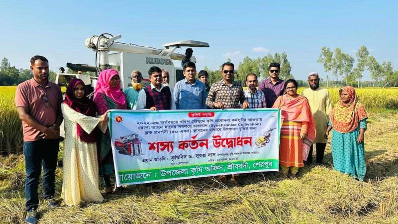 শ্রীবরদীতে সমলয়ের শস্য কর্তন: লাভবান কৃষক